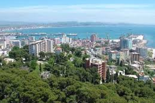 Accountant Albania